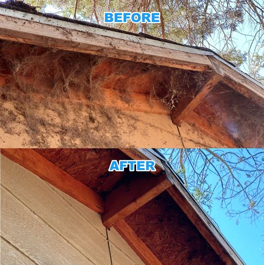Professional exterior cleaning service on a residential home in North Texas